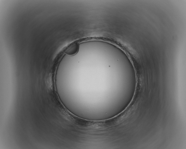 X0000110761262200906221115