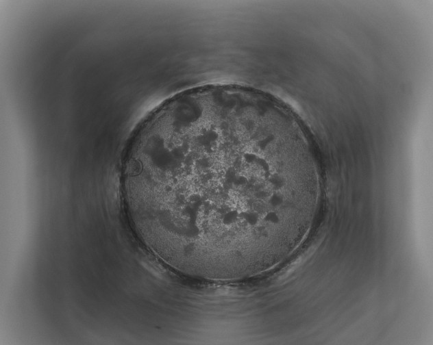 X0000110761263200906221115
