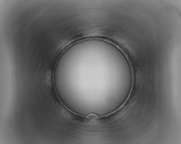 X0000110761265200906221115