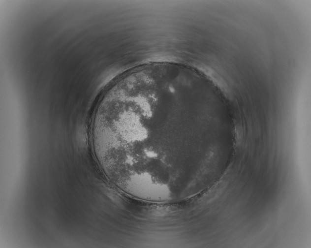 X0000110761266200906221115