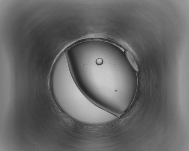 X0000110761268200906221115