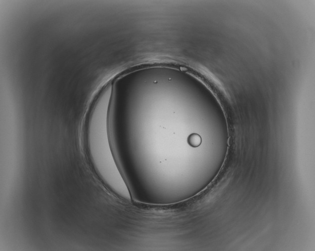 X0000110761269200906221115