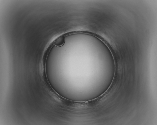 X0000110761270200906221115