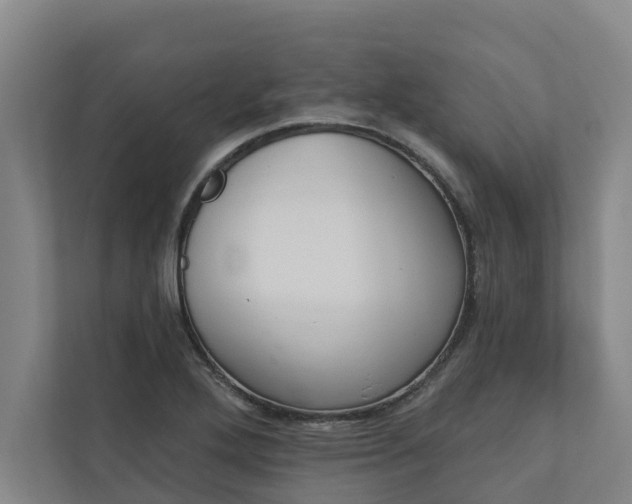 X0000110761272200906221115