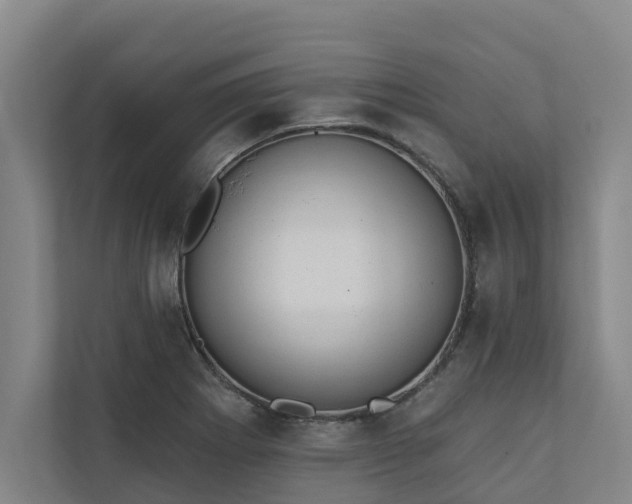 X0000110761273200906221115