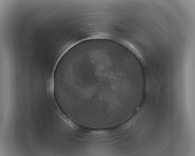 X0000110761276200906221115