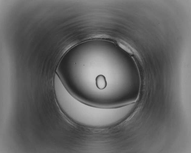 X0000110761281200906221115