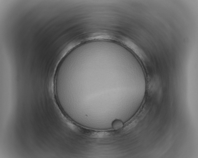 X0000110761282200906221115