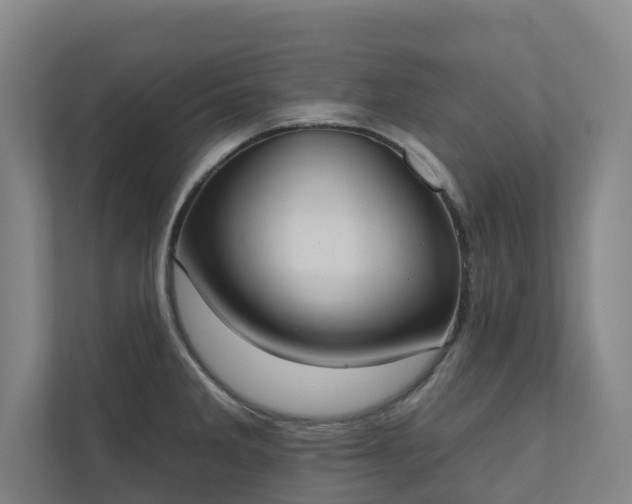 X0000110761285200906221115