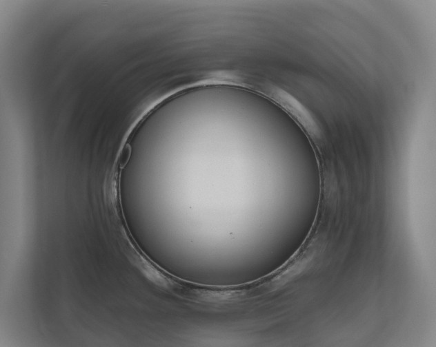 X0000110761292200906221114