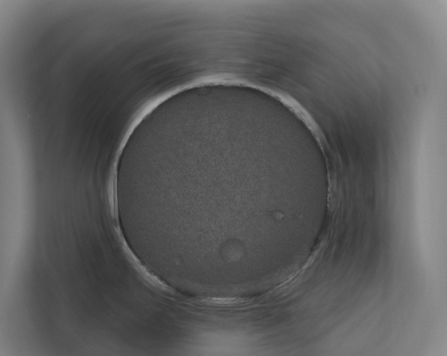 X0000110761295200906221114