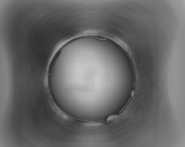 X0000110761296200906221114