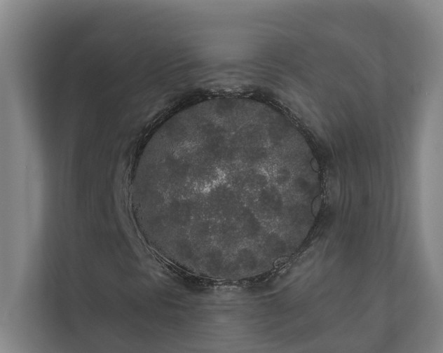 X0000110761297200906221114