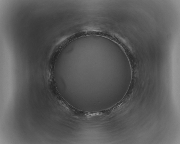 X0000110761303200906221114