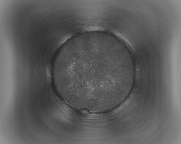 X0000110761305200906221114