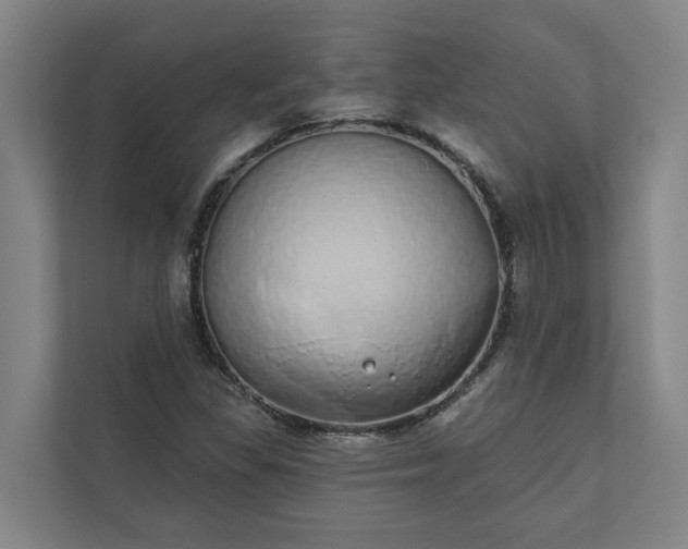 X0000110761309200906221114