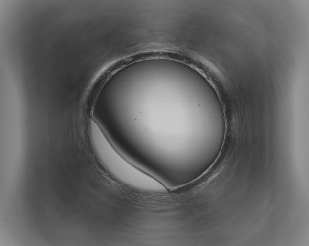 X0000110761310200906221114