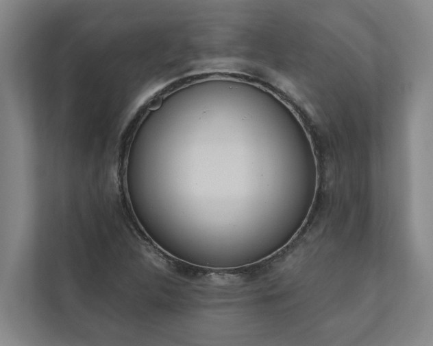 X0000110761312200906221114