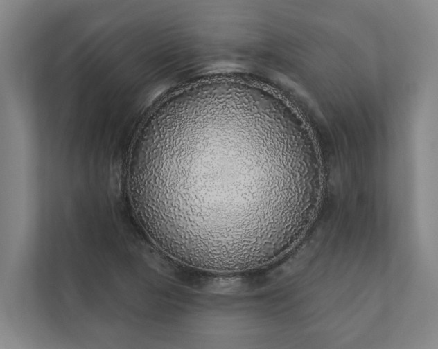 X0000110761313200906221114