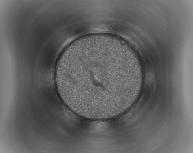 X0000110761314200906221114
