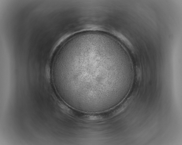 X0000110761318200906221114
