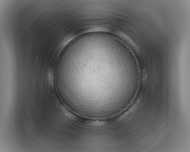 X0000110761321200906221114