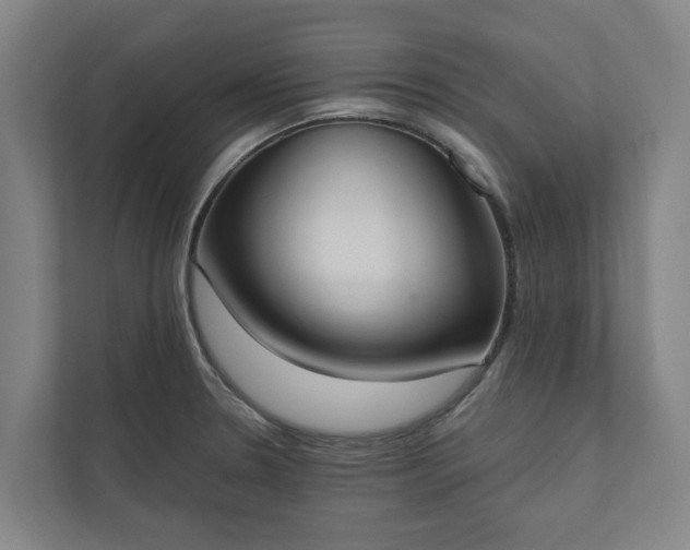 X0000110761330200906221114