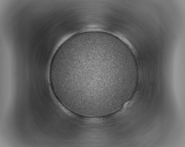 X0000110761333200906221114