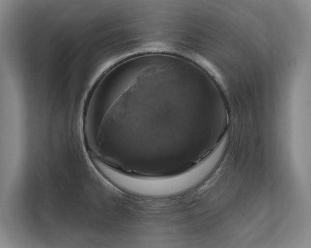 X0000110761334200906221114