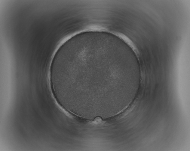 X0000110761335200906221114