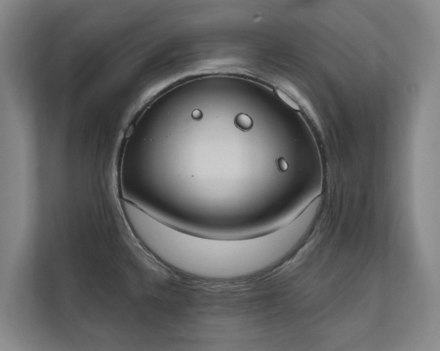 X0000110761336200906221114