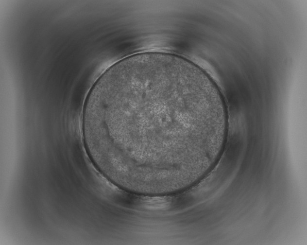 X0000110761338200906221114