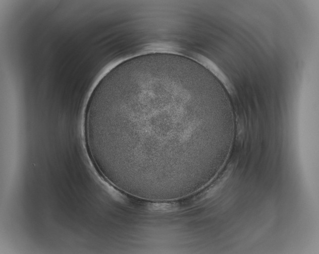 X0000110761339200906221114