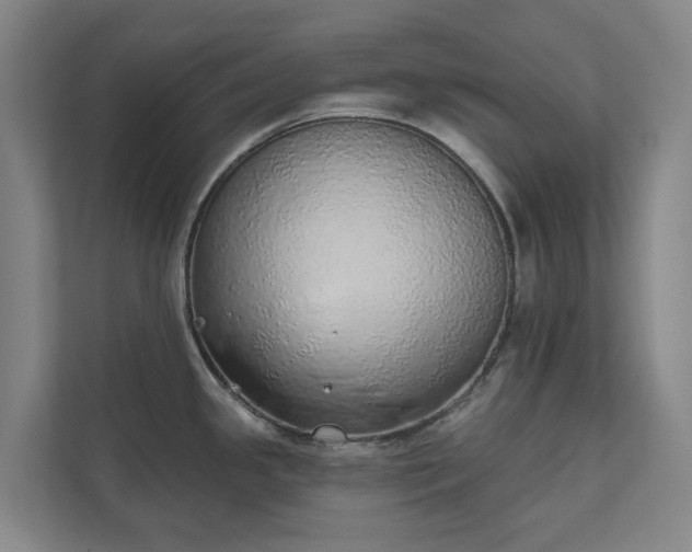 X0000110761341200906221114