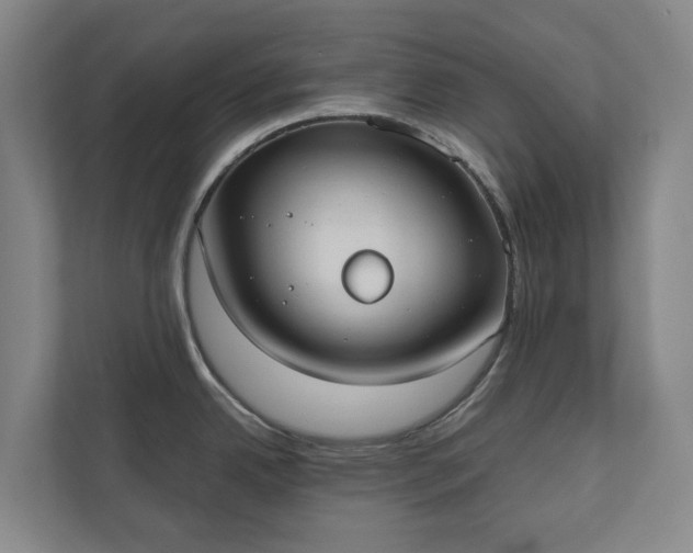 X0000110761342200906221114