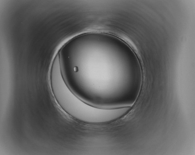 X0000110761344200906221114