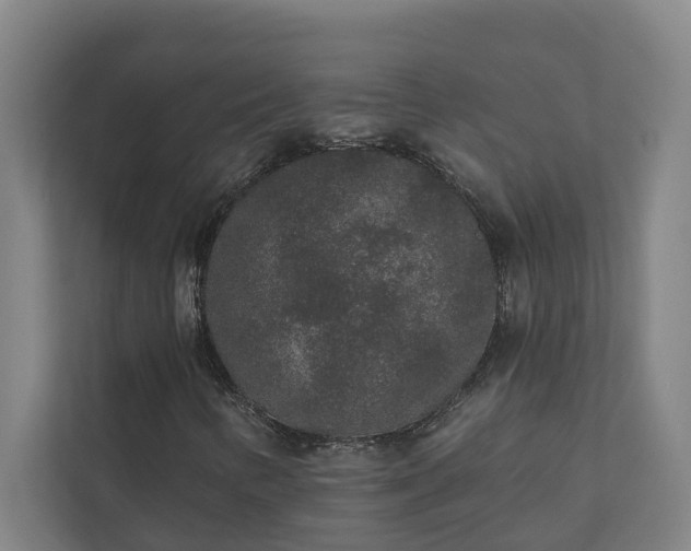 X0000110761346200906221114