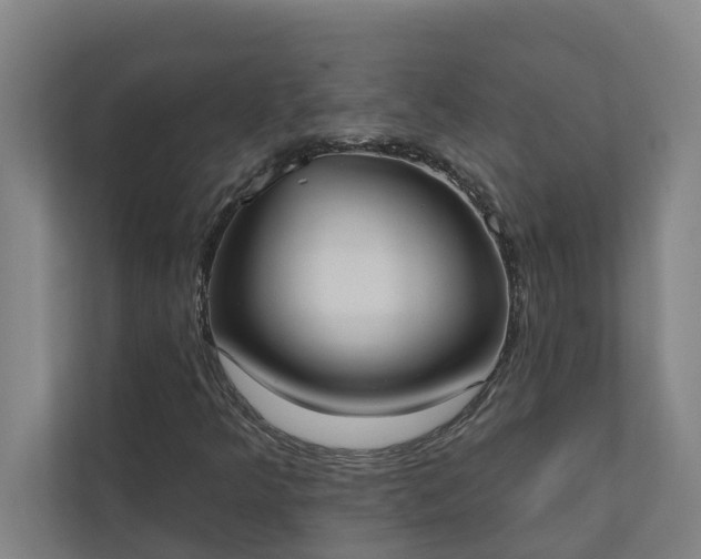 X0000110761349200906221114