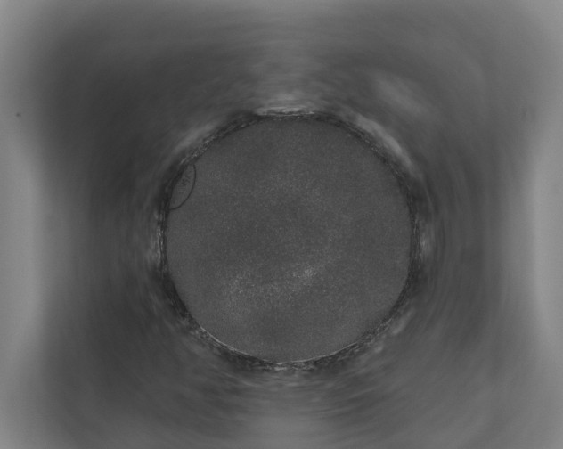 X0000110761350200906221114
