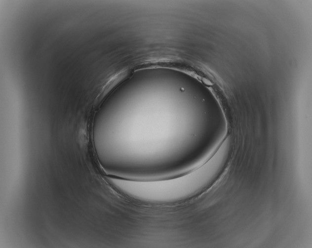 X0000110761353200906221114