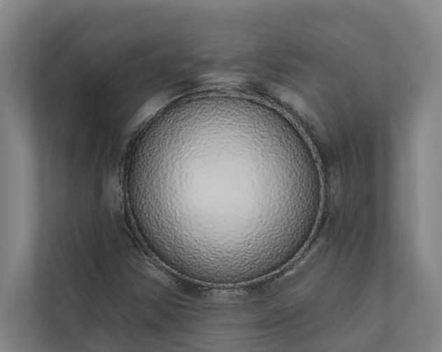X0000110761354200906221114