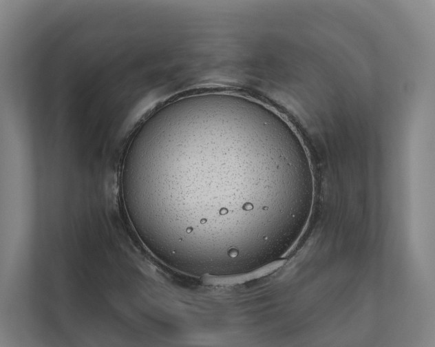 X0000110761355200906221114