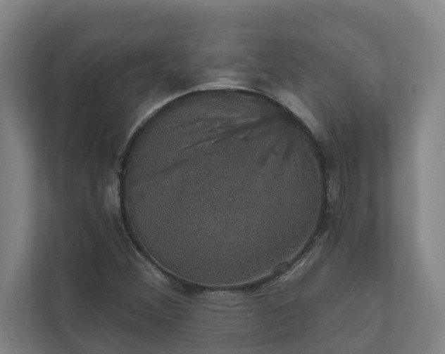 X0000110761356200906221114