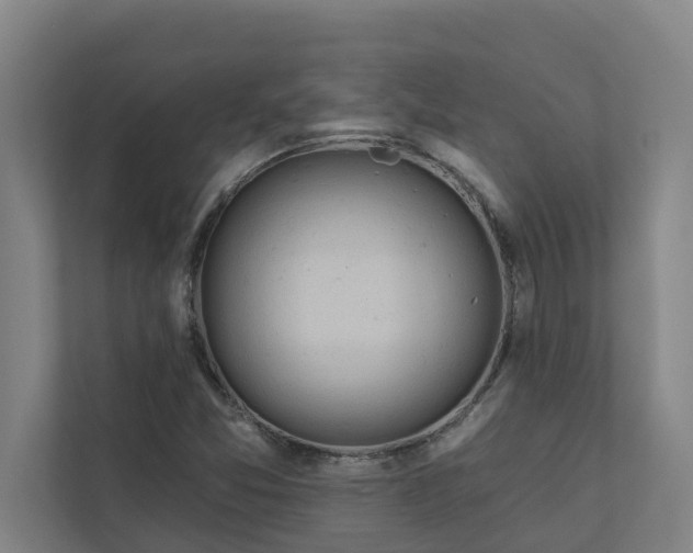 X0000110761357200906221114