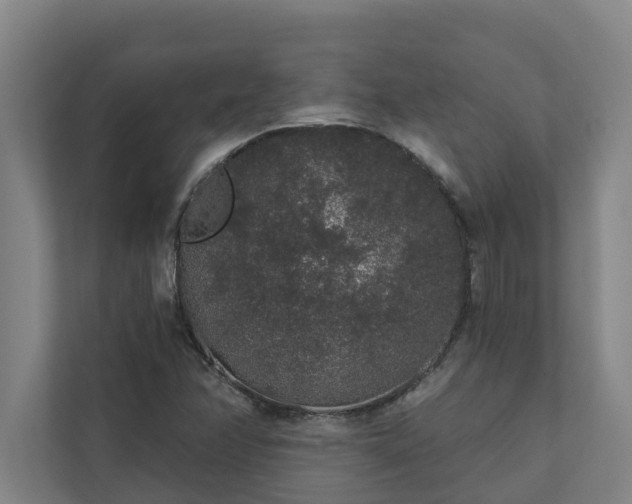 X0000110761358200906221114