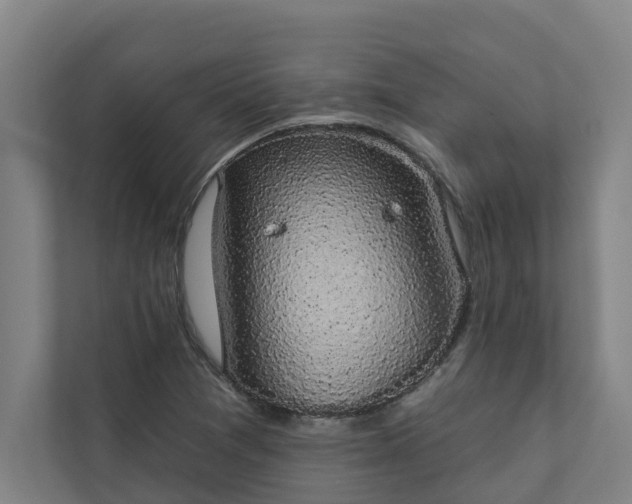 X0000110761361200906221114