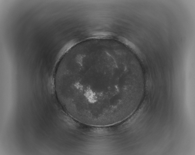 X0000110761362200906221114