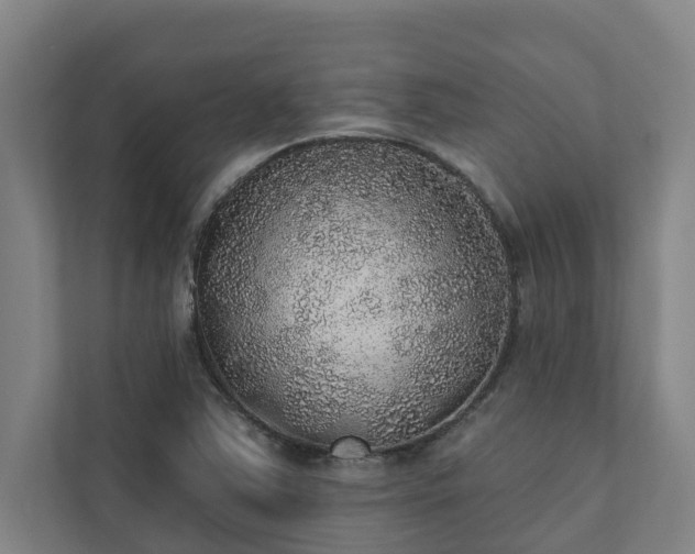 X0000110761363200906221114