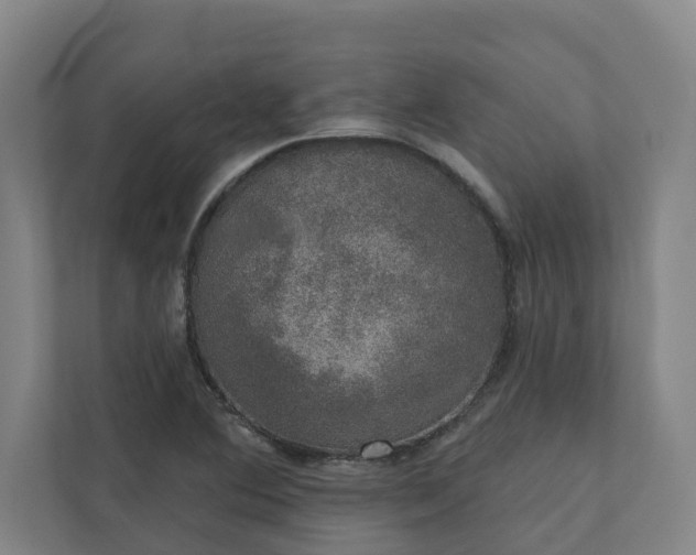 X0000110761364200906221114