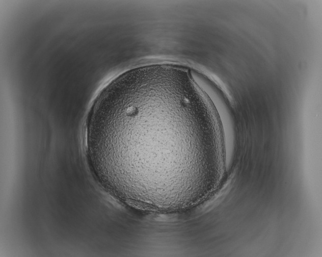 X0000110761365200906221114